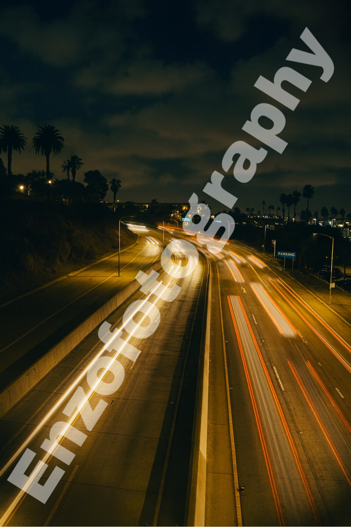 City Lights in Motion