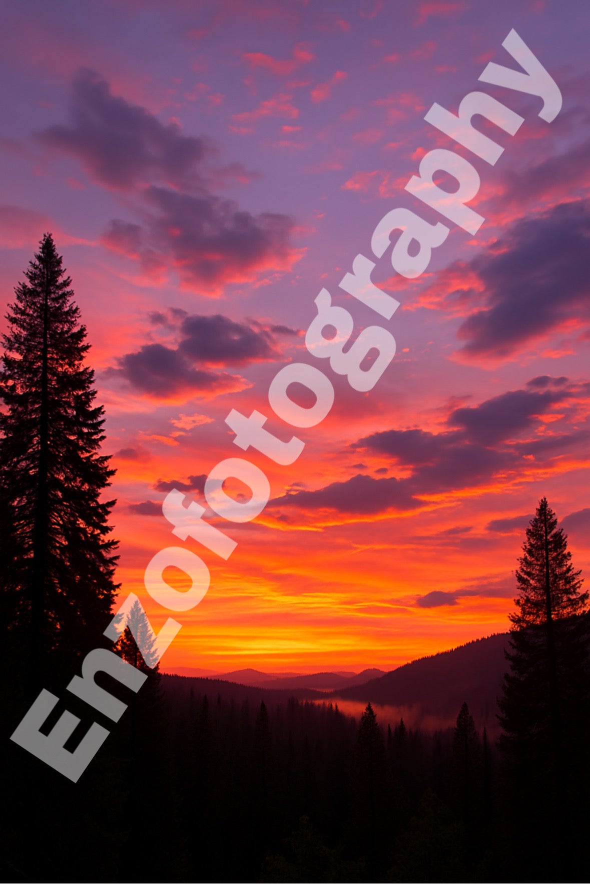 Alpine Glow Majesty