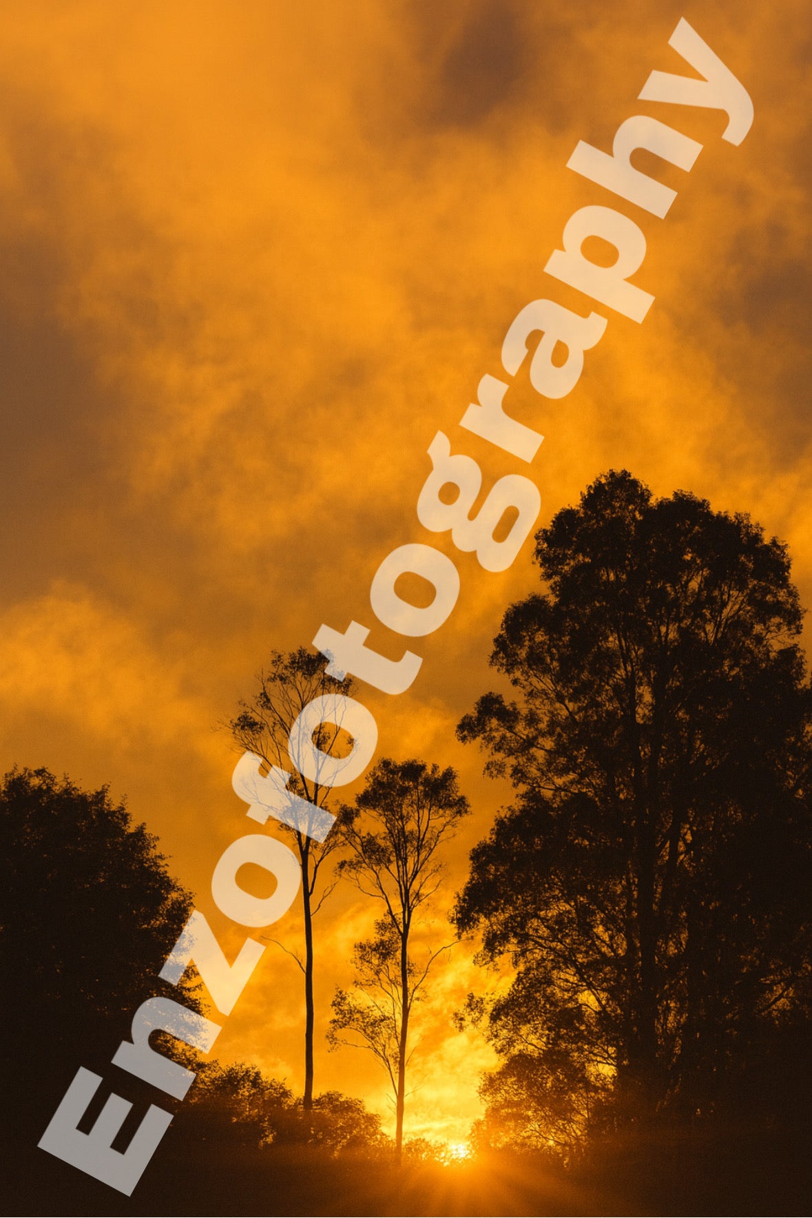 Flames of Sunset